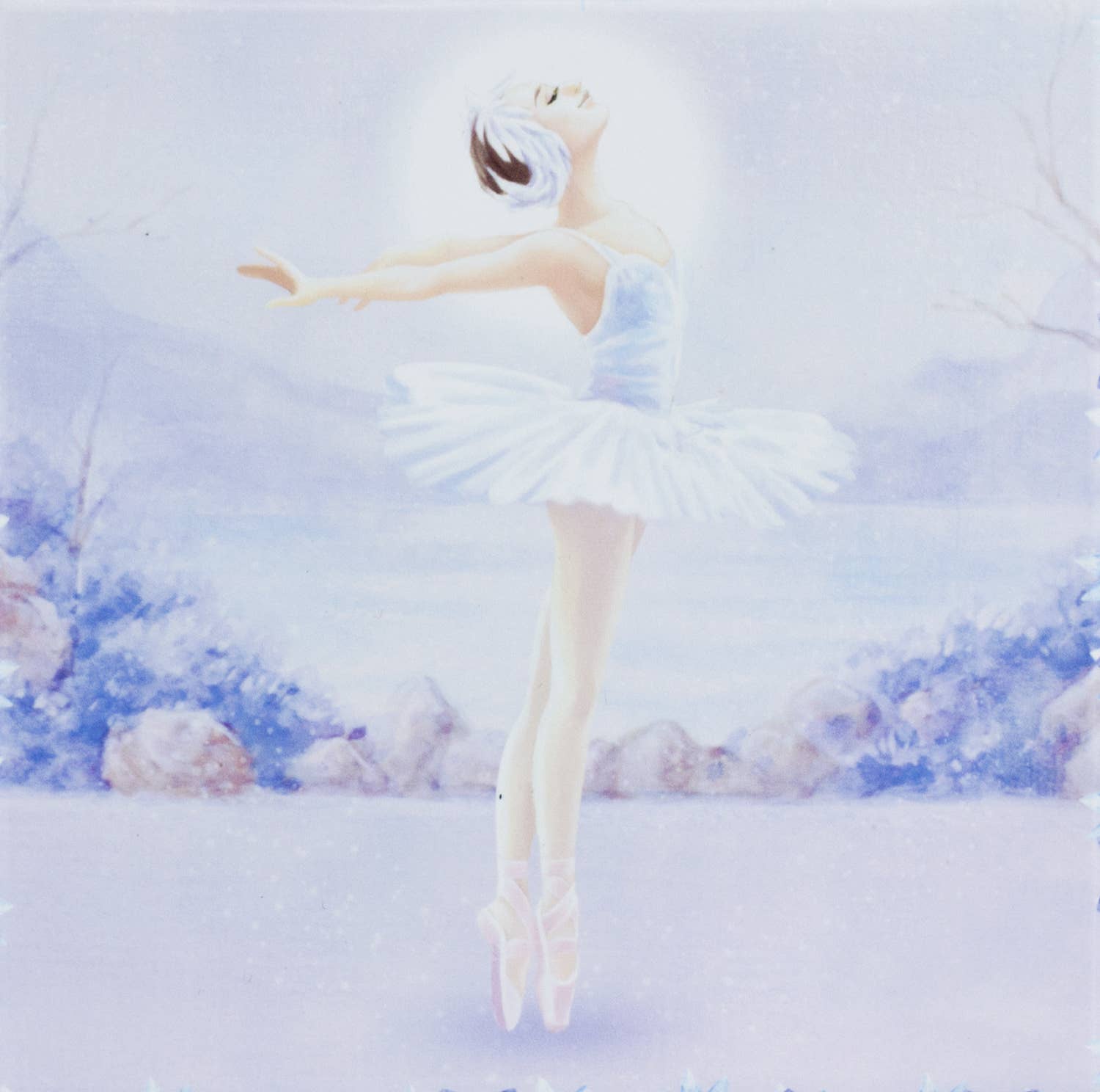 Schmucktruhe - Musik - Schwanensee