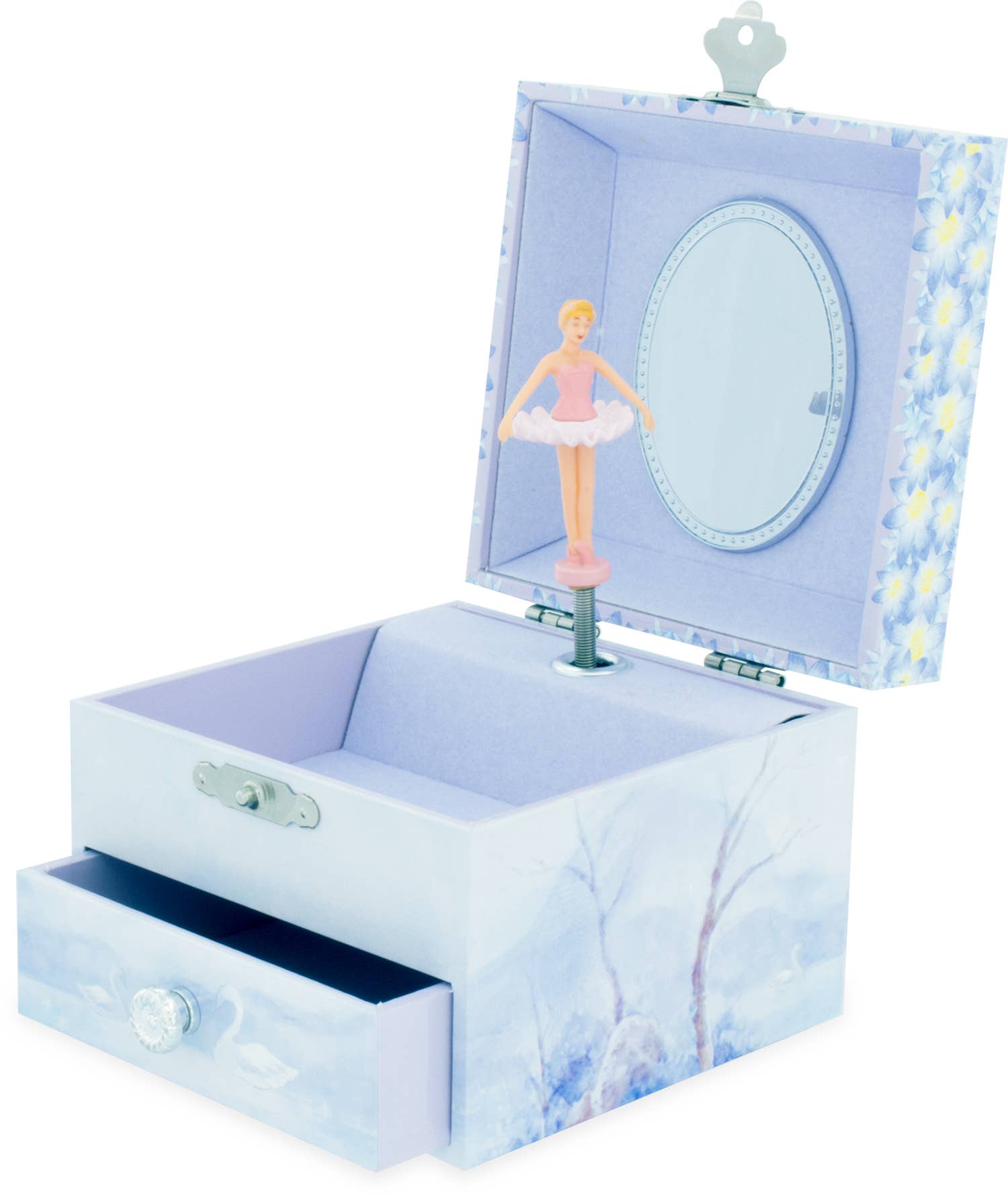 Schmucktruhe - Musik - Schwanensee